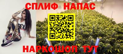 СК Славянск-на-Кубани
