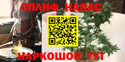 ГАЛЛЮЦИНОГЕННЫЕ ГРИБЫ Славгород