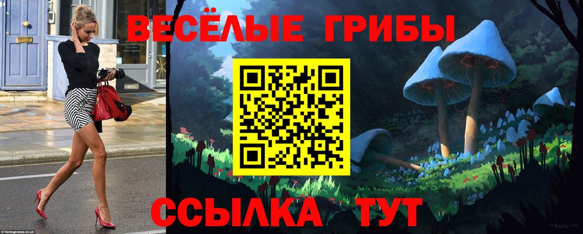 Новоалександровск  Псилоцибиновые грибы мицелий  Вход с VPN 