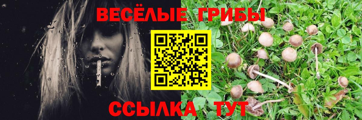 МДМА Новоалександровск